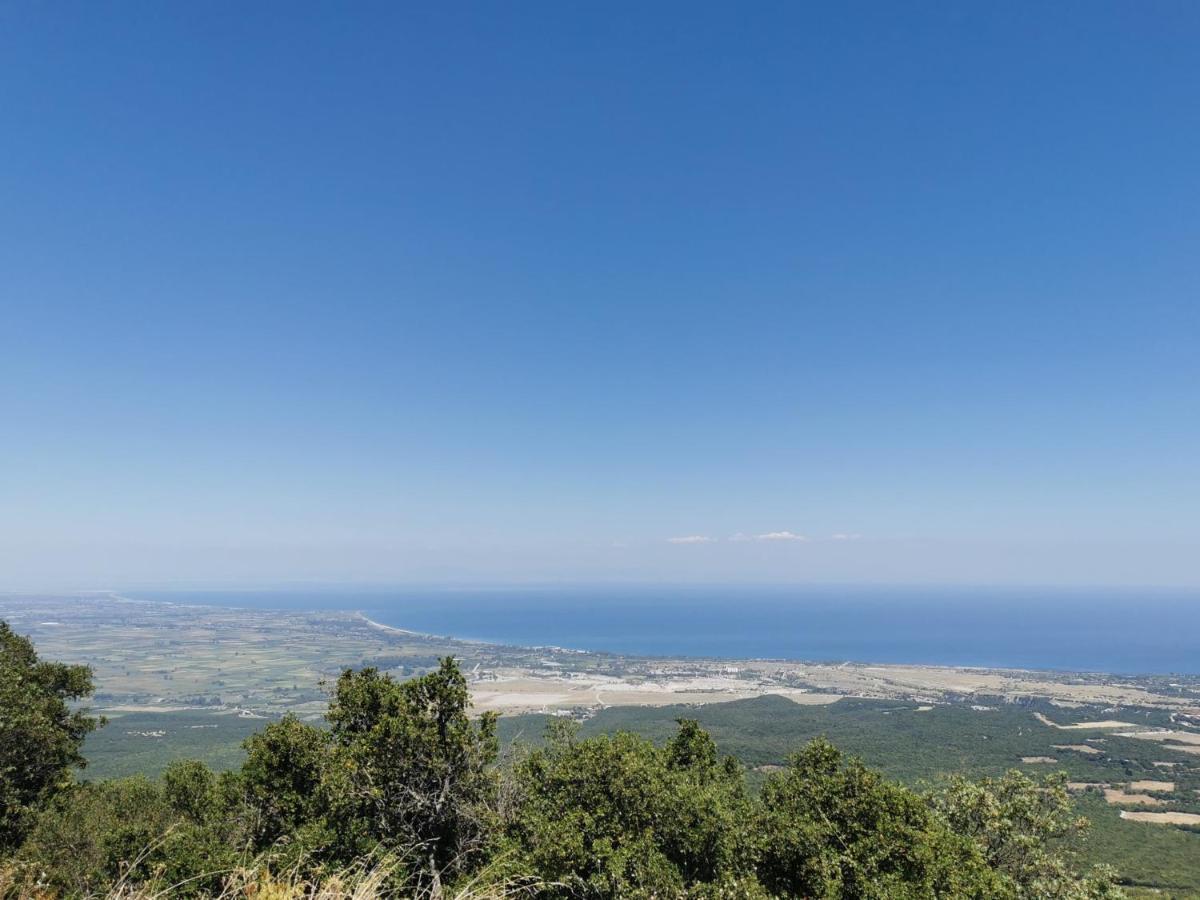 Villa Olympia Paralía エクステリア 写真