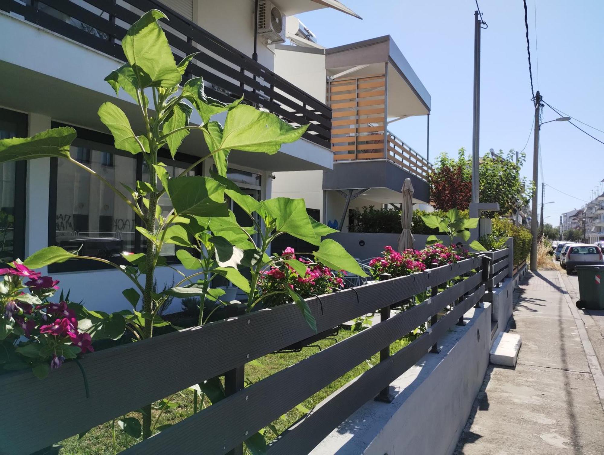 Villa Olympia Paralía エクステリア 写真